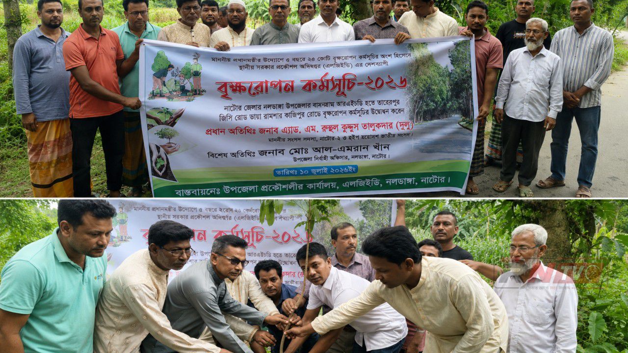 নলডাঙ্গায় স্থানীয় সরকার প্রকৌশল অধিদপ্তরের উদ্যোগে বৃক্ষরোপণ 