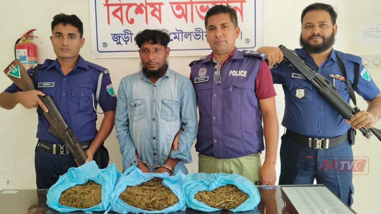 জুড়ীতে ৩ কেজি গাঁজাসহ আটক ১