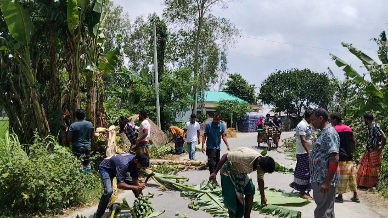 দুর্ঘটনার ঝুঁকি কমাতে সড়কের আগাছা-কলাগাছ পরিষ্কারে স্বেচ্ছাসেবক দলের উদ্যোগ