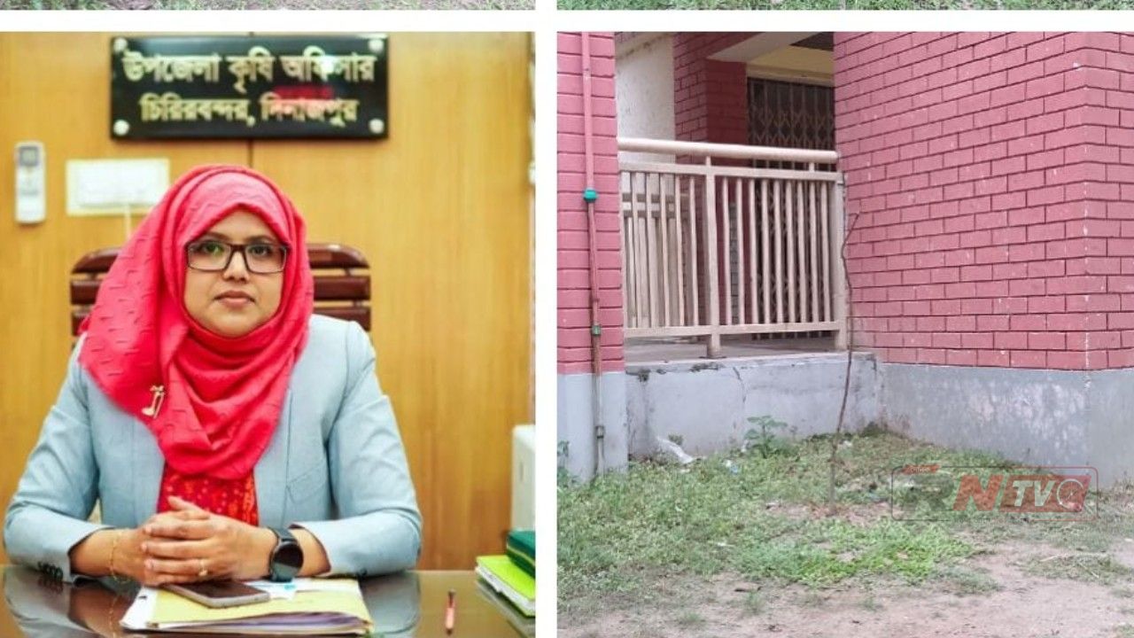 চিরিরবন্দর কৃষি অফিসের চারা ছোট, রুগু ও নিম্নমানের অভিযোগ প্রধান শিক্ষকদের।